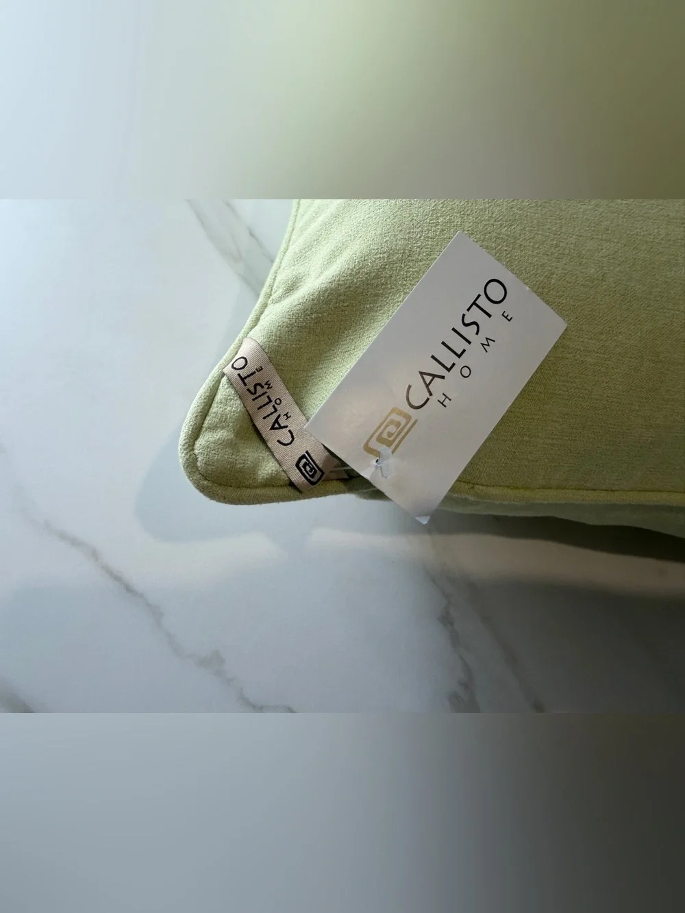 Callisto Home Sage Green Velvet Square Pillow